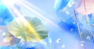 AI提示词_一片茂盛的荷叶_chatgpt5.0有出吗缩略图