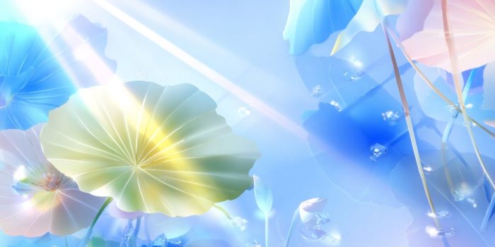 AI提示词_一片茂盛的荷叶_chatgpt5.0有出吗缩略图