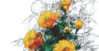 ChatGPT_AI提示词_一片生机勃勃的万寿菊花床_人工智能chatgpt5.0缩略图