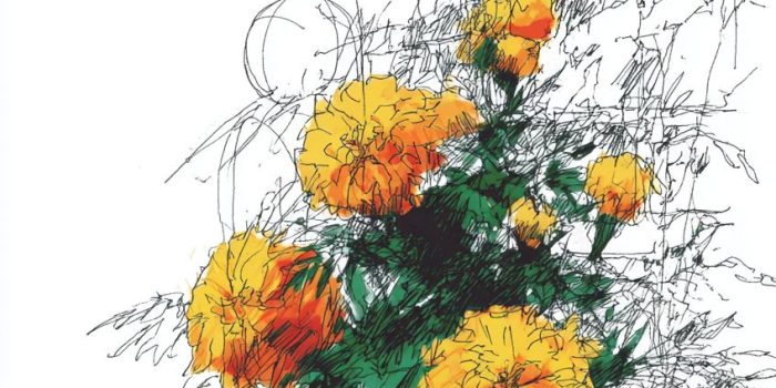 ChatGPT_AI提示词_一片生机勃勃的万寿菊花床_人工智能chatgpt5.0缩略图