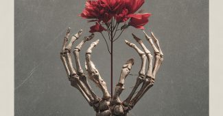 032f7271e851c3dc2a53c586b6a8c001