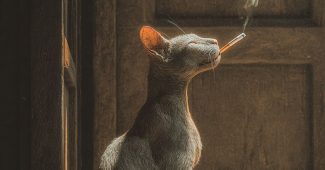 ChatGPT提示词_一只像人一样坐着抽烟的猫_chatgpt在线网页版官方缩略图