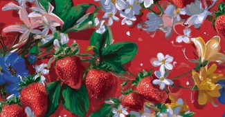 069d9be008439b12d3ef260a7c9d8531