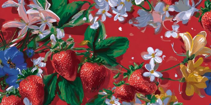 069d9be008439b12d3ef260a7c9d8531