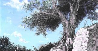 ChatGPT_AI提示词_一棵古老的橄榄树_chatgpt在线试用缩略图