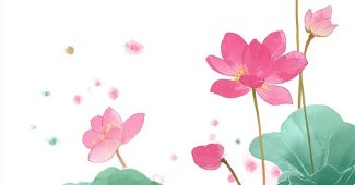 ChatGPT提示词_这是一款以淡粉色荷花为主题的中国风手机壁纸，荷花位于屏幕右下角，整体风格简单却精致_chatgpt充值方式缩略图