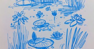 ChatGPT_AI提示词_一个宁静的睡莲池_chatgpt5.0手机端缩略图