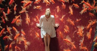 09c897a06ed6e0410211b4f371918764