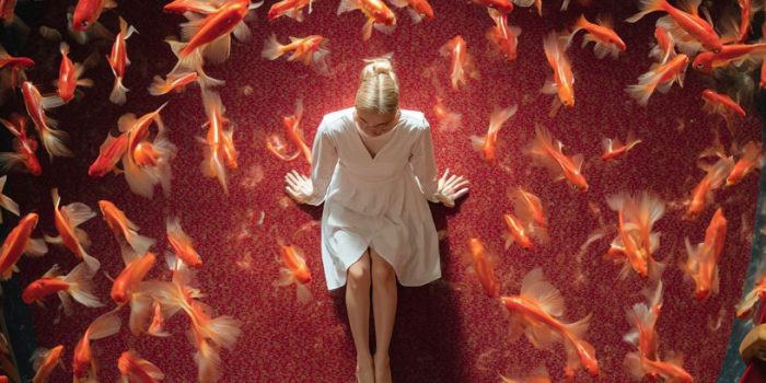 09c897a06ed6e0410211b4f371918764