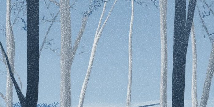 AI提示词_冬天，一个人沿着曲折的小路行走，四周是高大的白干蓝叶树，氛围宁静而神秘，传达出自由与沉思_chatgpt会员值得买吗缩略图