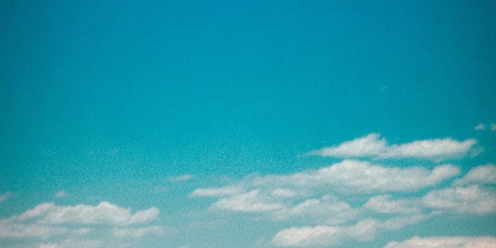 0b58542f5dd1cae0b3a12c7b8656d425