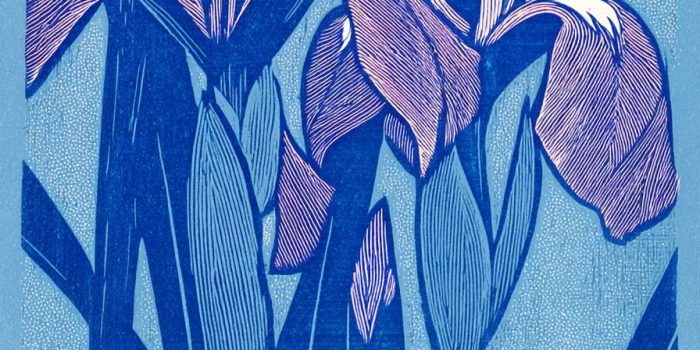 ChatGPT_AI提示词_一幅木刻风格的背景图，展示了鸢尾花，蓝紫色调，平面装饰构图，优雅宁静_chat gpt会员多少钱缩略图