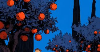 ChatGPT_AI提示词_一个生机勃勃的柑橘园_chatgpt会员收费标准缩略图