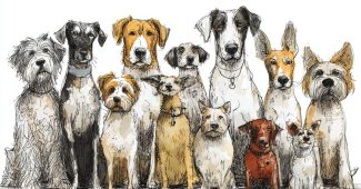 0fa95738c780a2699143dfa5d944b5d9