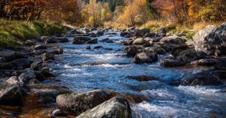 10120b34ec377c62b4d0624d3a770df9