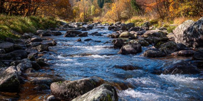 10120b34ec377c62b4d0624d3a770df9