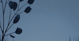 AI提示词_一个有趣的小鸭子池塘_chatgpt5.1版本更新缩略图