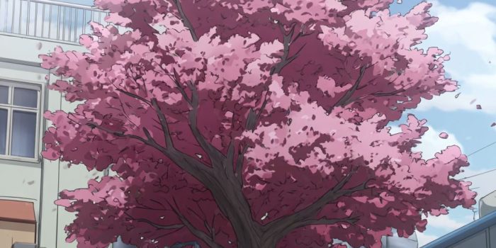 ChatGPT_AI提示词_盛开的樱花_chatgpt会员多少钱一次缩略图