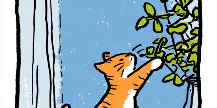 187ffb1a3e82891a21031db9ed0b3461