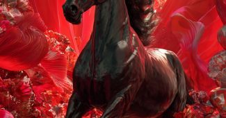 1b757559107f494177618b589544db1e