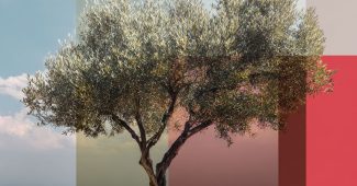 2127e397aa800afc0af280ee7a96fc20