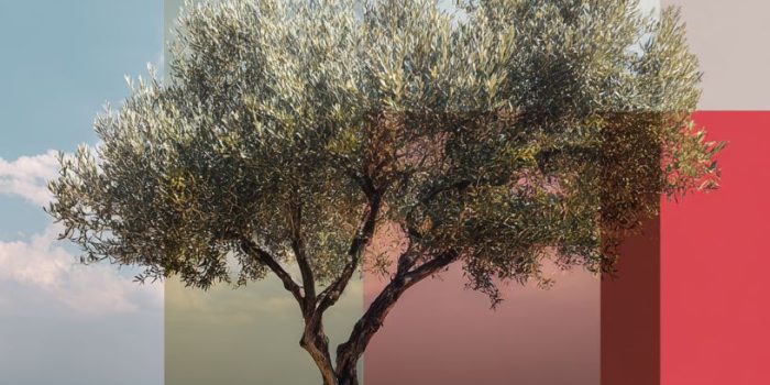 2127e397aa800afc0af280ee7a96fc20