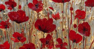 21bc4e9538bc25a5d925b6ba2c9065ab