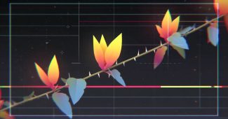 ChatGPT_AI提示词_刺冠藤是一种植物_chatgpt5和4的对比图缩略图