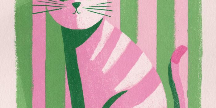 27239e8afe9bb0cf755380a64022cfbb