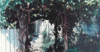 ChatGPT_AI提示词_一个繁茂的葡萄藤凉亭_chatgpt在线版网页缩略图