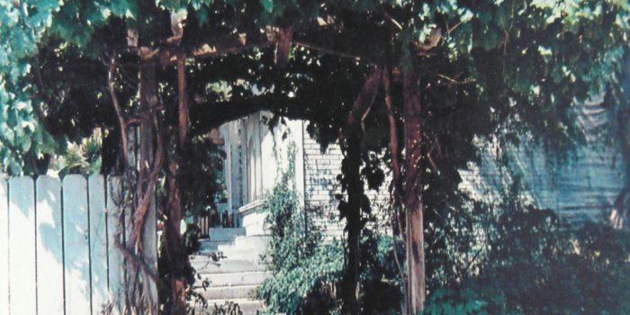 ChatGPT_AI提示词_一个繁茂的葡萄藤凉亭_chatgpt在线版网页缩略图