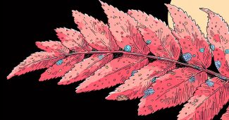 AI提示词_一片优美的蕨类植物叶子_gpt会员缩略图