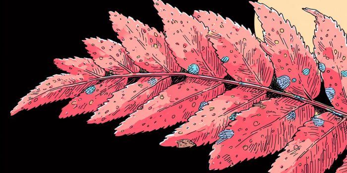 AI提示词_一片优美的蕨类植物叶子_gpt会员缩略图