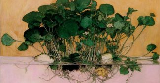 AI提示词_新鲜的西洋菜_怎么开通chatgpt会员缩略图