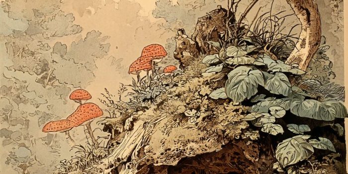 AI提示词_一个舒适的根洞_chatgpt中文官网缩略图