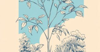 AI提示词_一丛野生接骨木_chatgpt会员多少钱一年缩略图