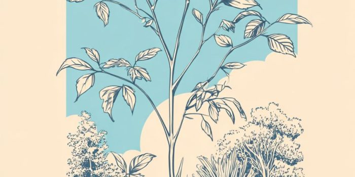 AI提示词_一丛野生接骨木_chatgpt会员多少钱一年缩略图