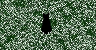 ChatGPT_AI提示词_绿色背景上有一朵小白花的简单图案，中间是黑猫的剪影_如何购买gpt会员最便宜缩略图