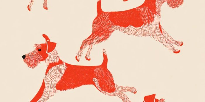 ChatGPT提示词_极简风格的艾尔戴尔犬插图，线条简洁，颜色平面，注重形态与运动_chatgpt购买会员缩略图