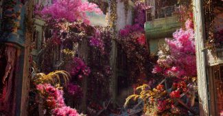 3324b939aff807a928936cd2348a35cf