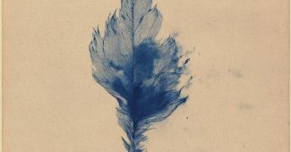 AI提示词_一根小鸟的羽毛_chatgpt会员费多少钱缩略图