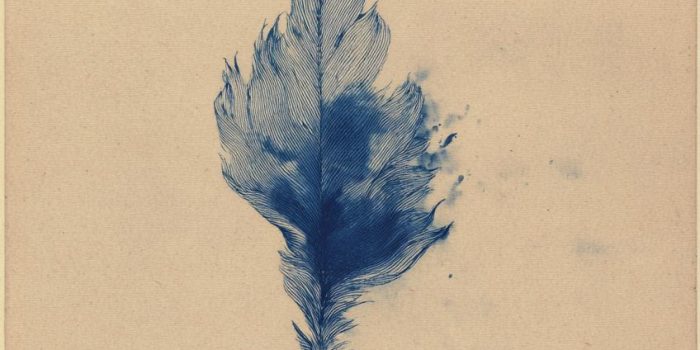 AI提示词_一根小鸟的羽毛_chatgpt会员费多少钱缩略图