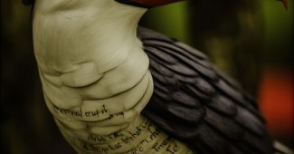 36ed15288b177aea75dad3d847deb1d3