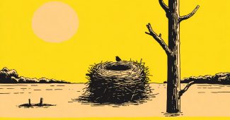 AI提示词_一个宁静的树根巢_chatgpt会员费多少钱缩略图