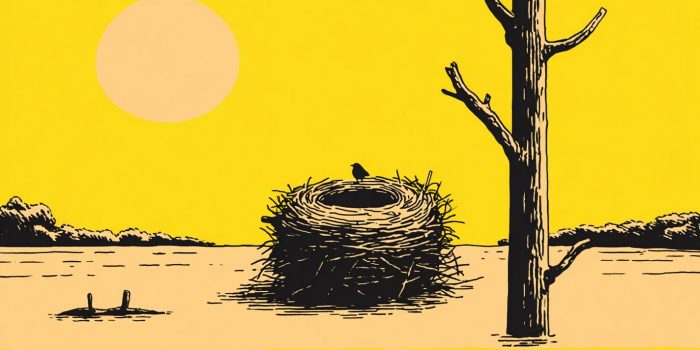 AI提示词_一个宁静的树根巢_chatgpt会员费多少钱缩略图