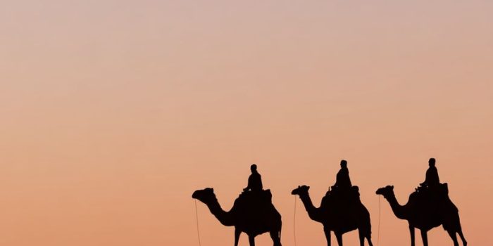 ChatGPT_AI提示词_四只骆驼和骑手在夕阳下的沙漠山脊行走_gpt会员共享缩略图