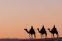 ChatGPT_AI提示词_四只骆驼和骑手在夕阳下的沙漠山脊行走_gpt会员共享缩略图
