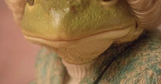 ChatGPT_AI提示词_穿着短发假发的青蛙_chatgpt50官网中文版缩略图