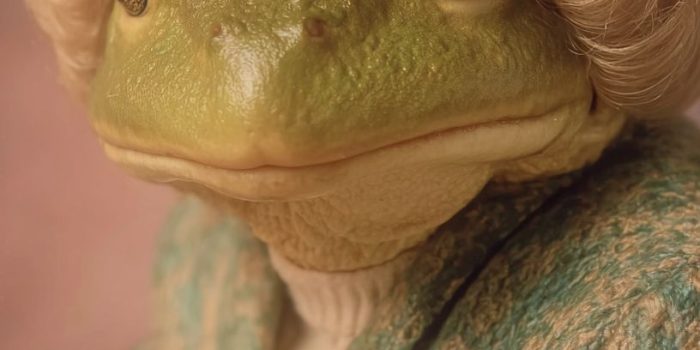 ChatGPT_AI提示词_穿着短发假发的青蛙_chatgpt50官网中文版缩略图