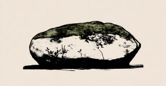 AI提示词_一块古老的苔藓石_chatgpt5.1即时聊天缩略图